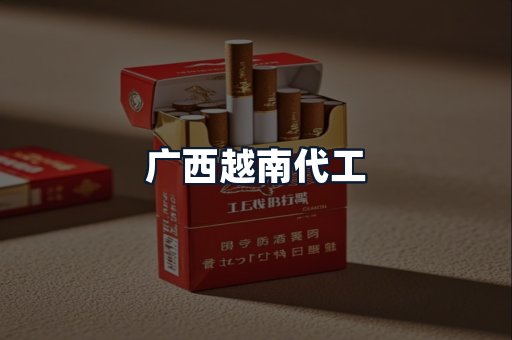 广西越南代工
